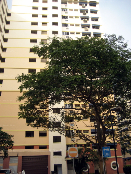 Pasir Ris Street 71 thumbnail photo